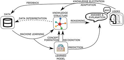 Argumentation: A calculus for Human-Centric AI